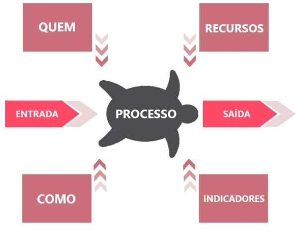 diagrama tartaruga