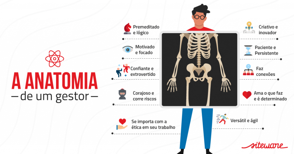 anatomia de um gestor