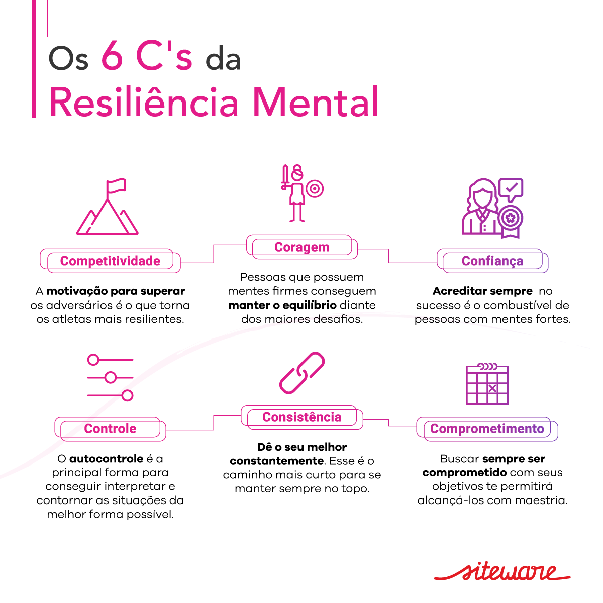 resiliencia na administracao