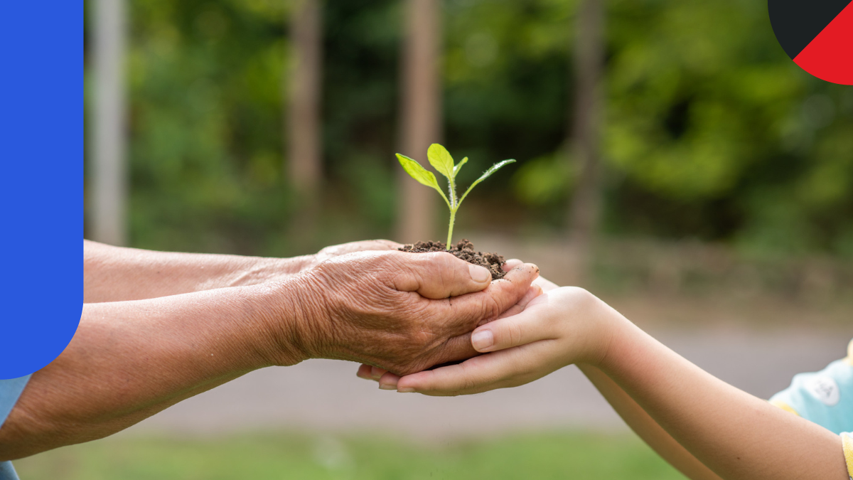 Projeto Educação Ambiental