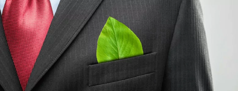 dicas de sustentabilidade nas empresas